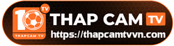 logo-thapcamtv